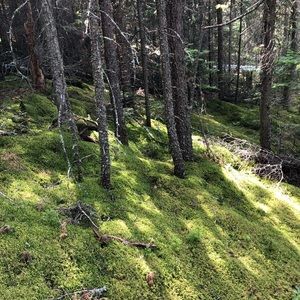 Meet your Posher, Leanne